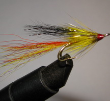 ���� ��������� �� ������� �������� Cascade Black Orange Yellow  gold  �  12